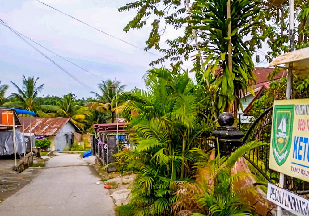 RUMAH DI KAB. BENGKALIS - WOFF839-1 - foto 4